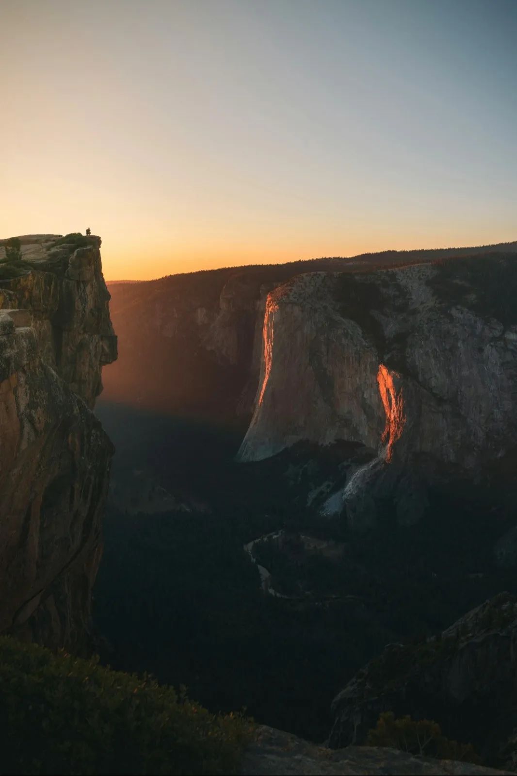 GREEN APPLE新品丨探索自然的奧秘，重塑家居美學