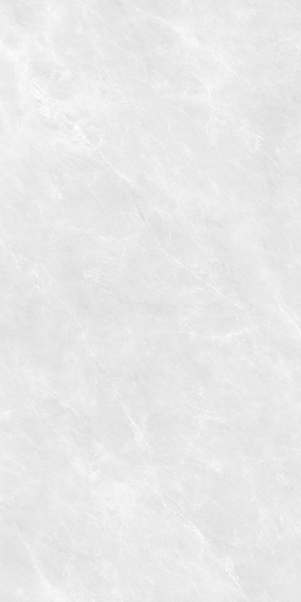 玉蘭產(chǎn)品圖