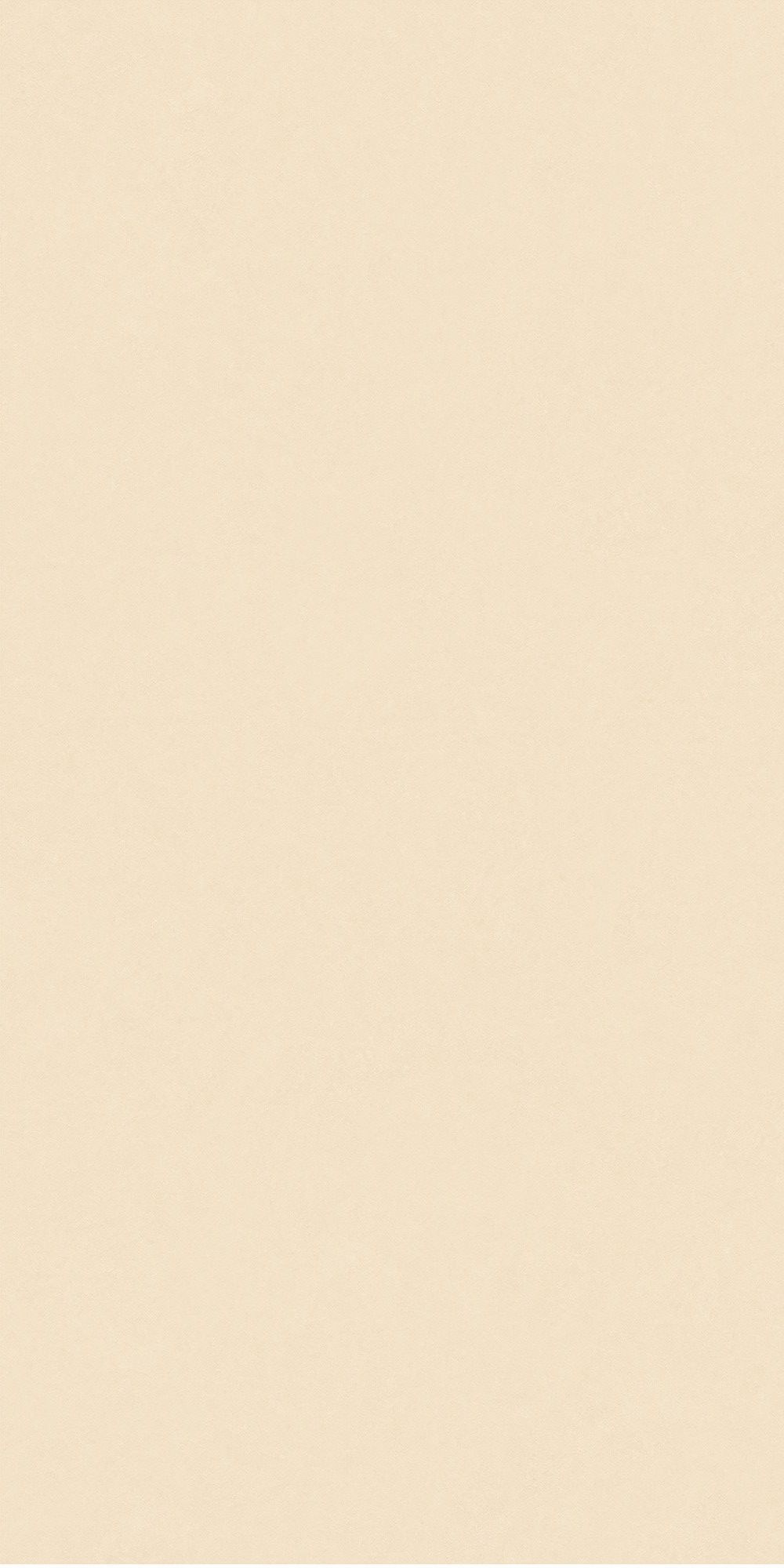 秋香黃產(chǎn)品圖