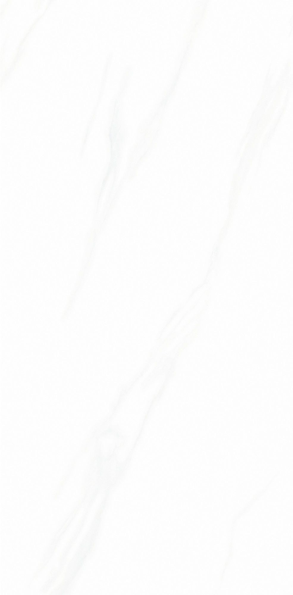 伯爵淺白產(chǎn)品圖