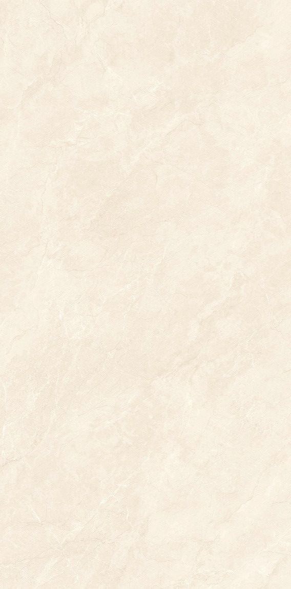 夏洛蒂產(chǎn)品圖