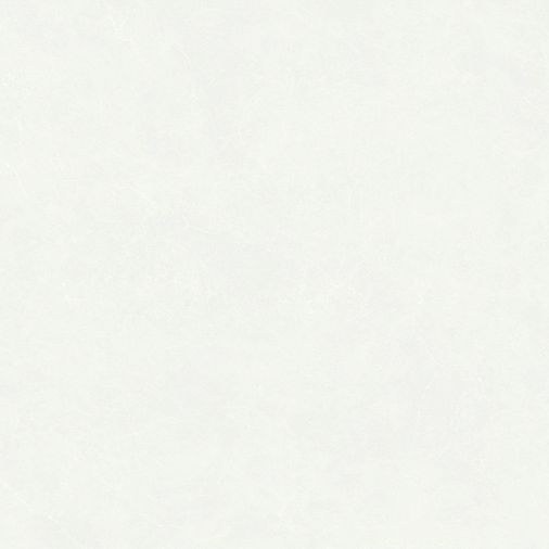 安娜奶白產(chǎn)品圖