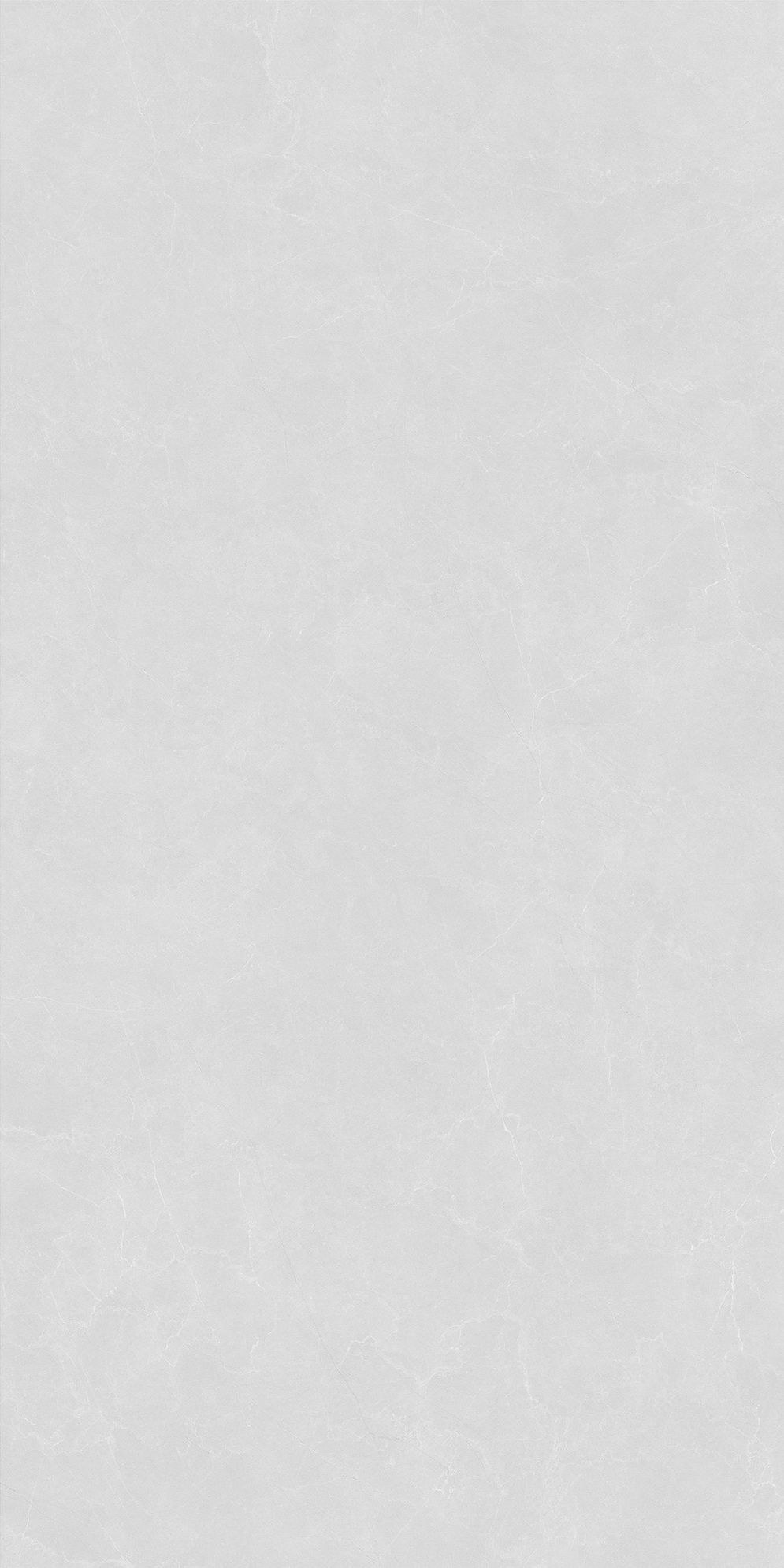 銀龍灰產(chǎn)品圖