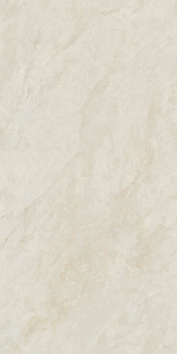 柏尼斯灰產品圖