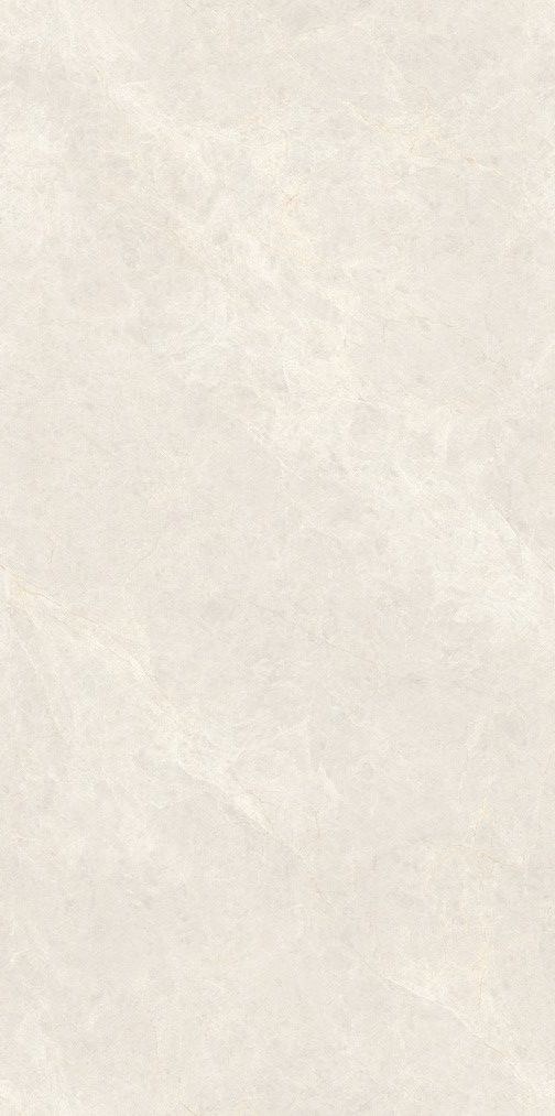 象牙玉蘭產(chǎn)品圖