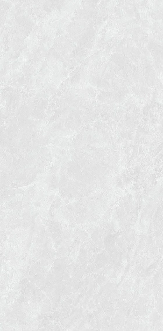 博洛尼產(chǎn)品圖