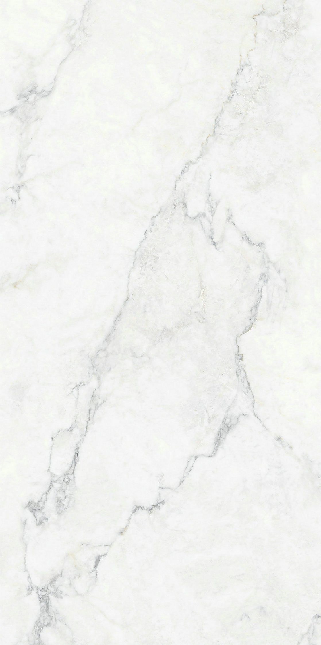 伊麗莎白產(chǎn)品圖