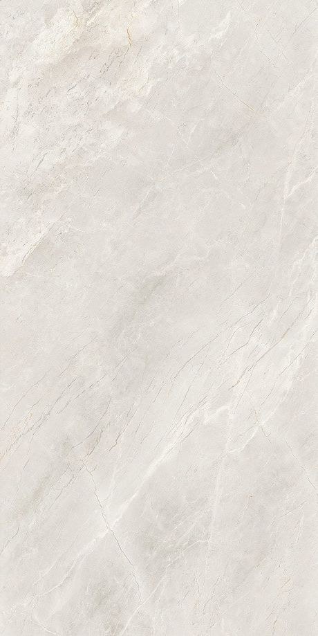 安德魯產(chǎn)品圖