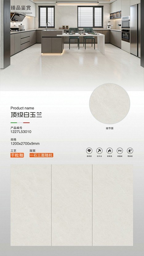 頂級(jí)白玉蘭