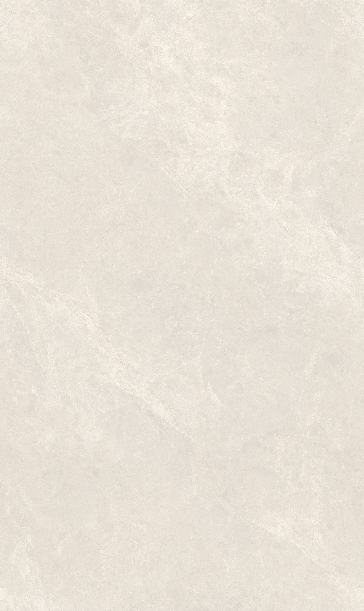 象牙玉蘭產品圖