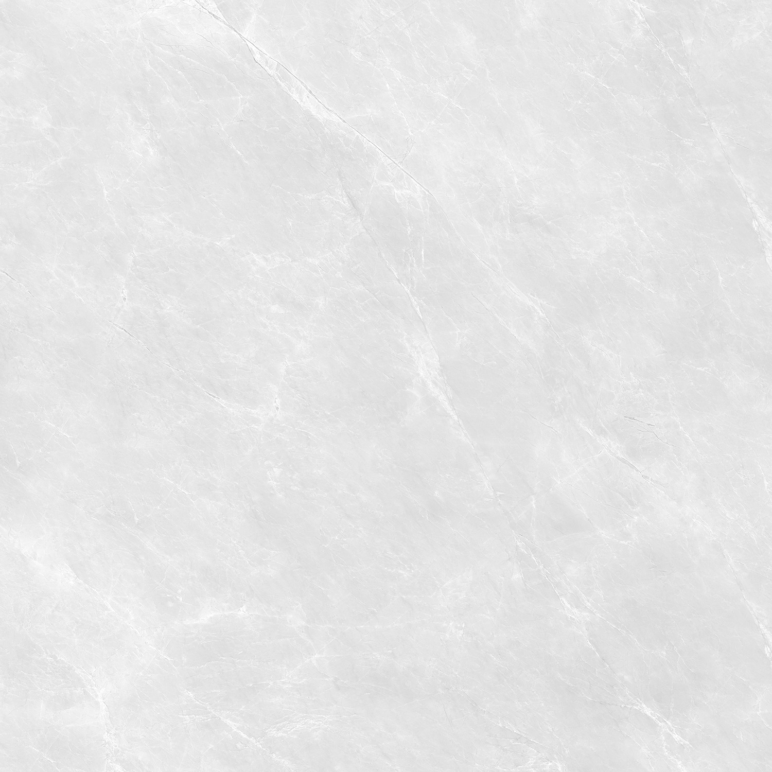 玉蘭產(chǎn)品圖